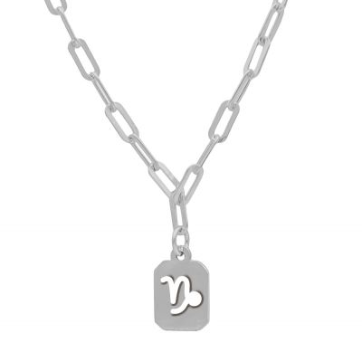 Capricorn Necklace - Zodiac Sign with Paperclip Chain [Sterling Silver]