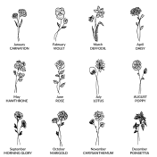 Mirella Geburtsblume Kette mit Gravur [Sterlingsilber]