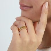 Klassische Erinnerungen Ring [750er Gold Vermeil]