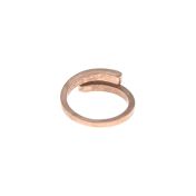 Anello Cigno con Nome [Placcato Oro Rosa 18kt] - 2 Nomi