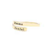 Schwan Ring [417er Gold]