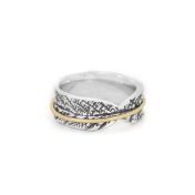 Family Circles Spinner Ring [Sterling Silver] - 1 Spinner