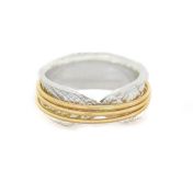 Anillo Giratorio Brillante Círculos Familiares [Plata de Ley] - 3 Aros Giratorios