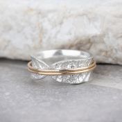 Familie Kringen Glanzende Spinner Ring [Sterling Zilver] - 2 Spinners