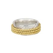 Familie Kringen Kralen Spinner Ring Glanzend [Sterling Zilver] - 3 Spinners