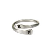 Written in the Stars Zodiac Signs Ring [Sterling Silver]
