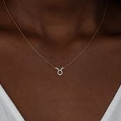 Zodiac Sign Necklace [18K Gold Vermeil]