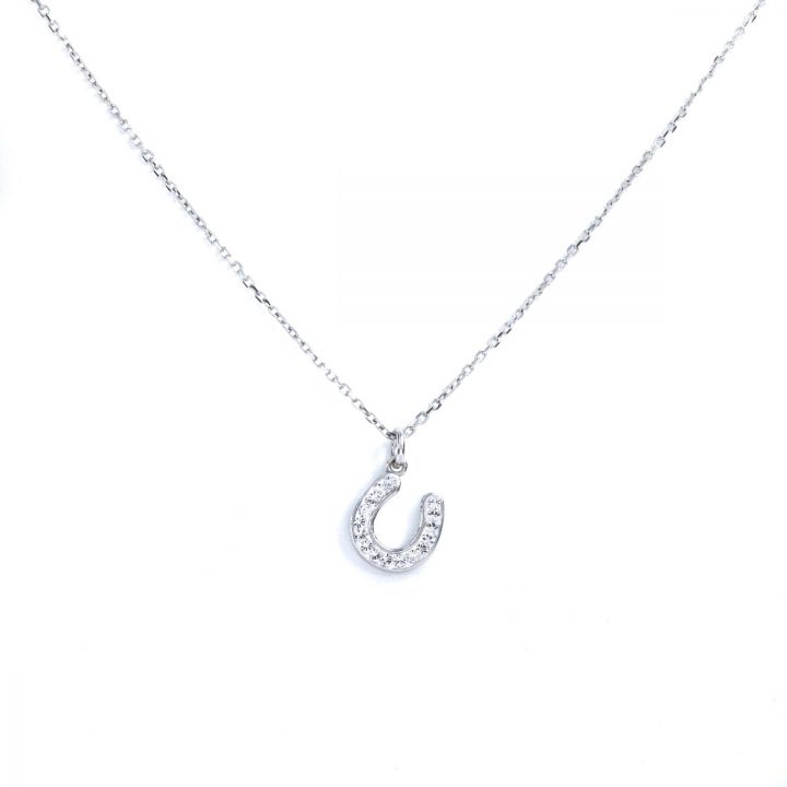 Lucky Charm Necklace [Sterling Silver]