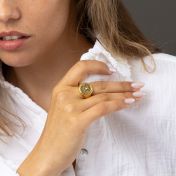 Vivid Map Silhouette Signet Ring [18K Gold Plated]