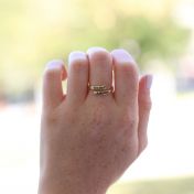 Schwan Ring [417er Gold]