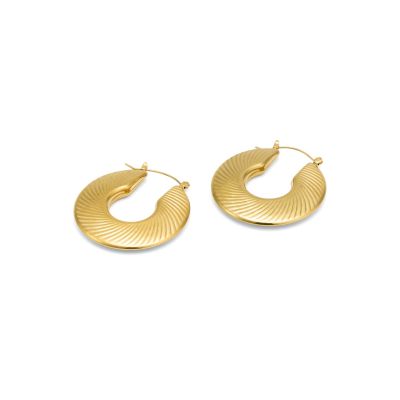 Seashell Curves Hoops