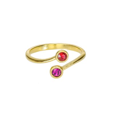 Anello Radici d'Amore - 2 Pietre di Nascita [Placcato Oro 18kt]