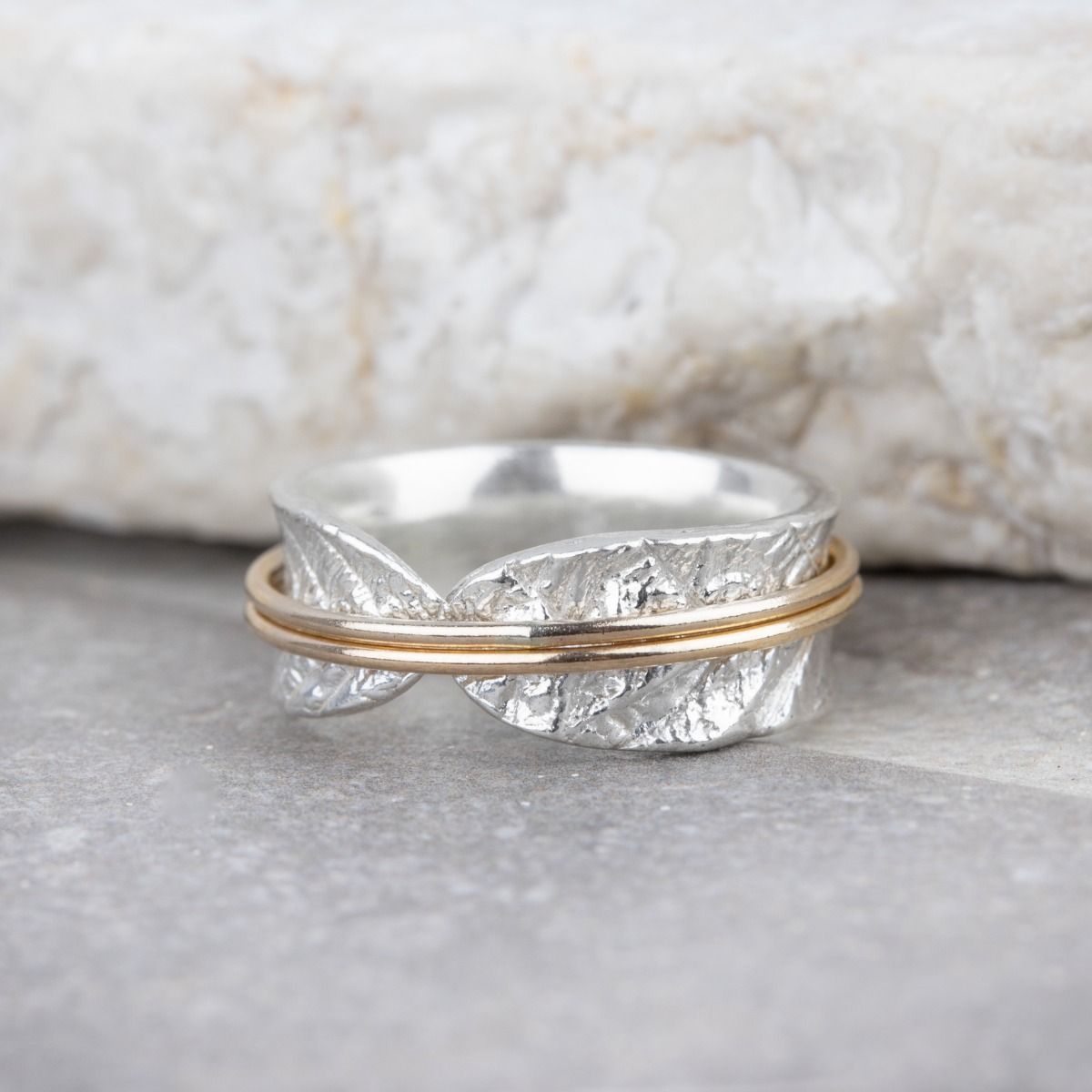 Familie Kringen Glanzende Spinner Ring [Sterling Zilver] - 2 Spinners