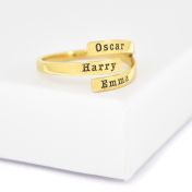 Swan Ring - 3 Names [10K Gold]