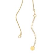 7,5 cm Ketting Verlengstuk [18K Goud Verguld]