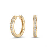 Glimmer Hoop Earrings [Gold Plated]