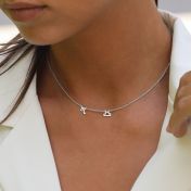 Helena Zodiac Necklace [Sterling Silver]