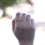 Anello Cigno con Nome [Placcato Oro Rosa 18kt] - 2 Nomi