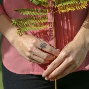 Olijftak Belofte Ring [Sterling Zilver]