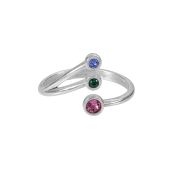 Family Love Birthstone Ring [Sterling Silver]