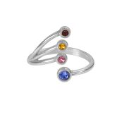 Family Love Birthstone Ring [Sterling Silver]