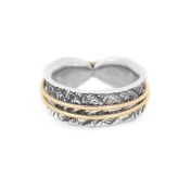 Bague Spinner Cercles de Famille [Argent 925] - 1 Anneau