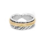 Bague Spinner Cercles de Famille [Argent 925] - 1 Anneau