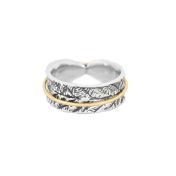 Bague Spinner Cercles de Famille [Argent 925] - 1 Anneau