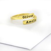 Swan Ring - 2 Names [10K Gold]