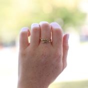 Swan Ring - 2 Names [10K Gold]