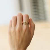 Swan Ring - 3 Names [10K Gold]