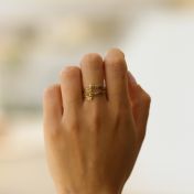 Swan Ring - 4 Names [10K Gold]