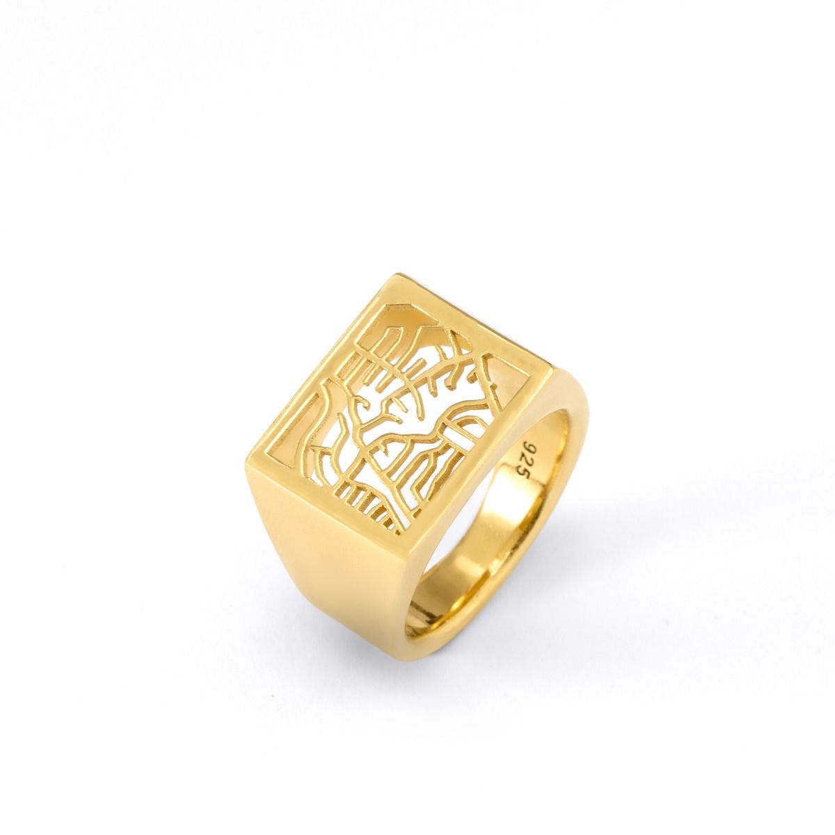 Map Signet Ring in Gold - Jewelry with Maps - Jewelry Gifts for
