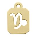 Capricorn (22 December –  19 January)